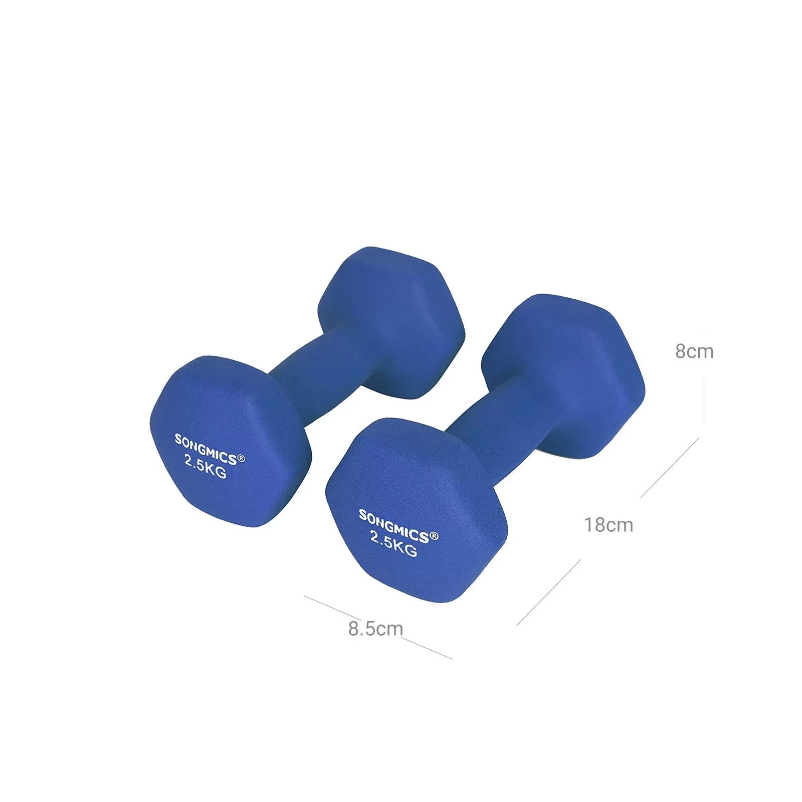 In And OutdoorMatch Dumbbells Set Darion - 2x2.5kg - Krachttraining - Thuis - Gym - Blauw Dumbell set