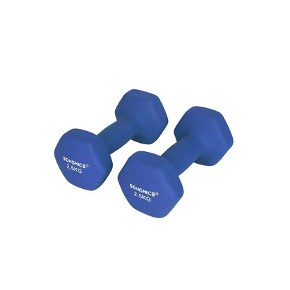 In And OutdoorMatch Dumbbells Set Darion - 2x2.5kg - Krachttraining - Thuis - Gym - Blauw Dumbell set