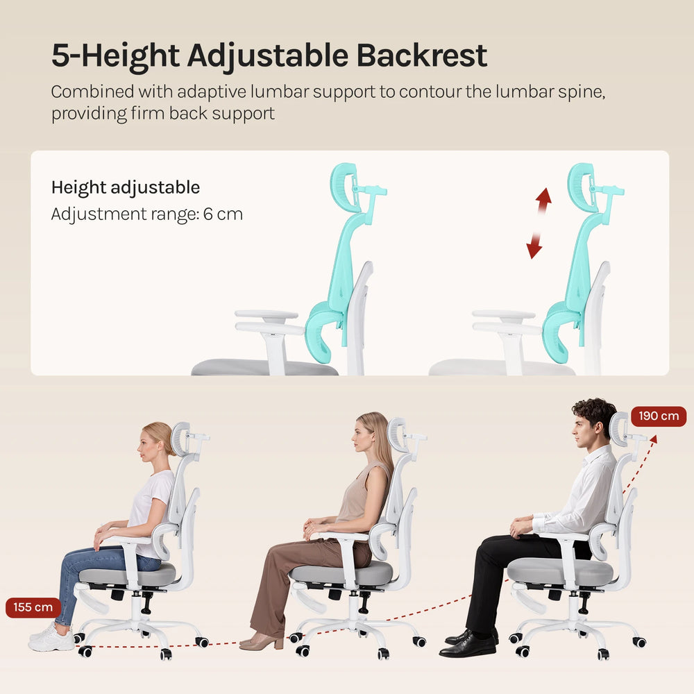 WOLTU Ergonomic Office Chair Mesh Fabric Desk Chair with Adjustable Headrest Backrest Swivel High Back Chair for Study Office